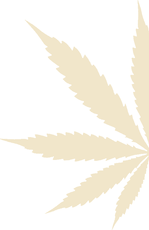 Tan Colored Pot Leaf Background Icon Enhancer Right