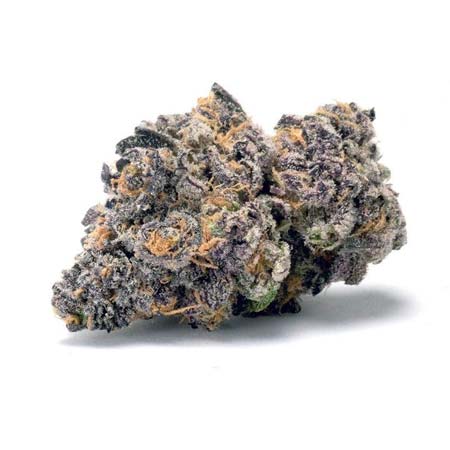 Closeup of the Freshest High-Quality Purple Cannabis Flower from a Irvine Weed Delivery Order