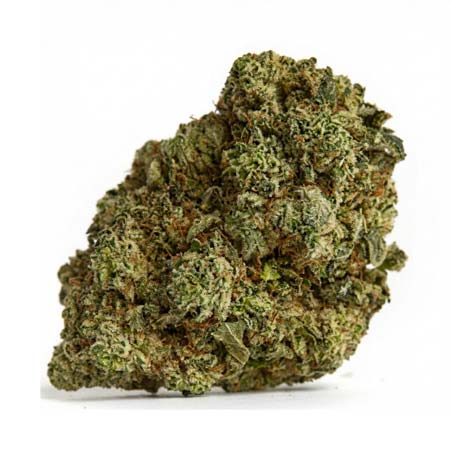 Closeup of Fresh Top-Shelf Cannabis Bud for Lake Forest Weed Delivery