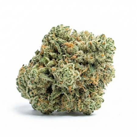 Closeup of Fresh Top-Shelf Cannabis Bud for Newport Beach Weed Delivery