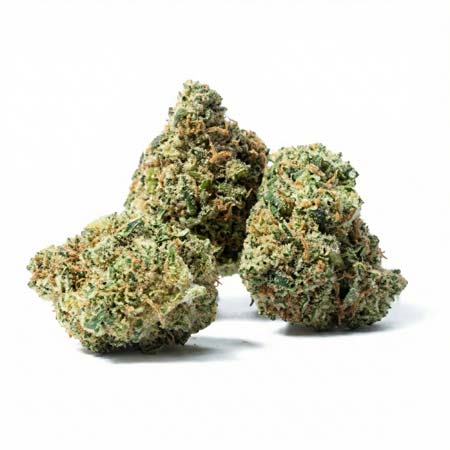 Closeup of Fresh Top-Shelf Cannabis Bud for Rancho Santa Margarita Weed Delivery