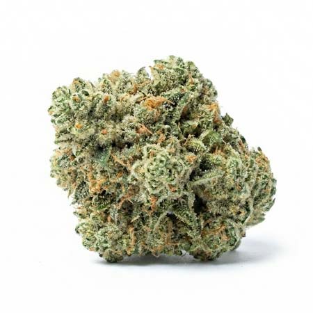 Closeup of Fresh Top-Shelf Cannabis Bud for Sunset Beach Weed Delivery