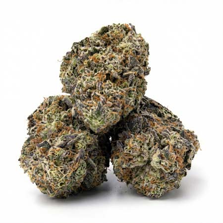 Closeup of Fresh Top-Shelf Cannabis Bud for Westminster Weed Delivery